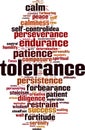 Tolerance word cloud Royalty Free Stock Photo