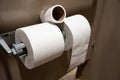 Toliet paper rolls placed on a toliet paper holder inside of a restroom stall