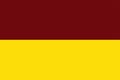 Tolima vector flag, Colombia.