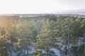 Tolkuse bog, Estonia Royalty Free Stock Photo