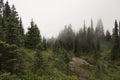 Tolmie Peak Trail - Fog Royalty Free Stock Photo