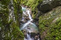 Tolmin gorge, nature, Slovenia