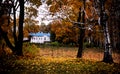 Tolstoy Estate, Yasnaya Polyana, Autumn Scene