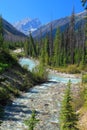 Kootenay National Park, British Columbia, Windemere Road and Vermilion River at Marble Canyon, Canadian Rocky Mountains, Canada Royalty Free Stock Photo