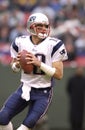 Tom Brady New England Patriots Royalty Free Stock Photo