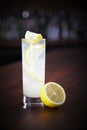 Tom Collins cocktail Royalty Free Stock Photo