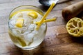 Tom Collins Cocktail with lemon and ice. Royalty Free Stock Photo