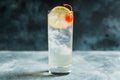 Tom collins cocktail Royalty Free Stock Photo