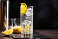 tom collins with a lemon twist in a tall glass