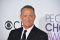 Tom Hanks Royalty Free Stock Photo