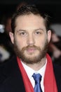 Tom Hardy Royalty Free Stock Photo