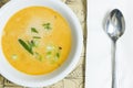 Tom kha Gai soup Royalty Free Stock Photo