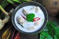 Tom Kha Kai Royalty Free Stock Photo