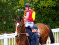 Tom Marquand. Horse racing jockey. Royalty Free Stock Photo