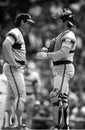 Tom Seaver & Charlton Fisk Chicago White Sox Royalty Free Stock Photo