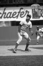 Tom Seaver Cincinnati Reds