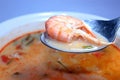 Tom Yum Goong (shrimp hot soup) Royalty Free Stock Photo