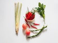 Tom yum herbal ingredients Royalty Free Stock Photo