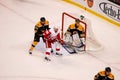 Tomas Hostrom Detroit Red Wings Royalty Free Stock Photo