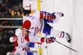 Tomas Plekanec Montreal Canadiens Royalty Free Stock Photo