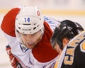 Tomas Plekanec Royalty Free Stock Photo