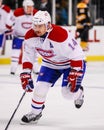 Tomas Plekanec Montreal Canadiens Royalty Free Stock Photo