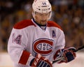 Tomas Plekanec Royalty Free Stock Photo