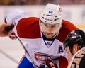 Tomas Plekanec Montreal Canadiens Royalty Free Stock Photo