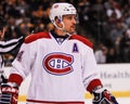 Tomas Plekanec Montreal Canadiens Royalty Free Stock Photo
