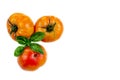 Tomate Ananas - Grosse tomate ancienne BIO.
