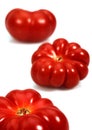 TOMATE  CAMONE Royalty Free Stock Photo