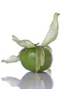 Tomatillo Royalty Free Stock Photo