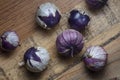 Tomatillo fruits