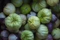 Tomatillo fruits Royalty Free Stock Photo