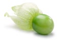 Tomatillo (Physalis philadelphica), paths