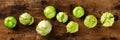 Tomatillos, green tomatoes, overhead flat lay panorama. Mexican food ingredient Royalty Free Stock Photo
