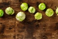Tomatillos, green tomatoes, shot from the top with a place for text Royalty Free Stock Photo