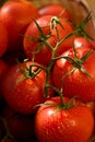 Tomato, Royalty Free Stock Photo