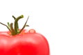 Tomato Royalty Free Stock Photo
