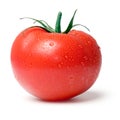 Tomato. Royalty Free Stock Photo