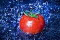 Tomato Royalty Free Stock Photo