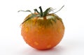 Tomato Royalty Free Stock Photo