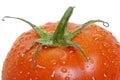 Tomato Royalty Free Stock Photo