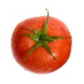 Tomato Royalty Free Stock Photo