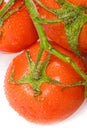 Tomato Royalty Free Stock Photo