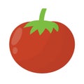Fresh tomato in cartoon style. Farm vegetable element isolated on white background Royalty Free Stock Photo