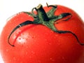 Tomato Royalty Free Stock Photo