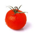 Tomato Royalty Free Stock Photo