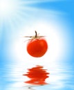 Tomato above rendered water Royalty Free Stock Photo