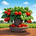 Tomato background image